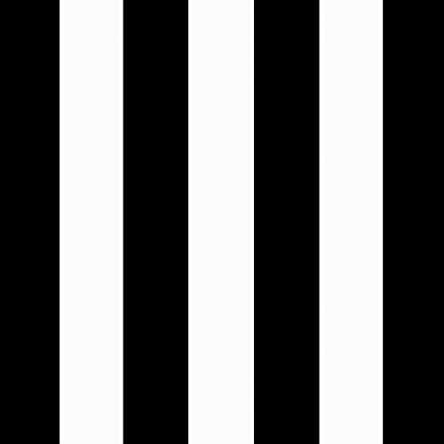 Arden Outdoor Dining Chair Cushion, 4-Pack, 20x44, Black Cabana Stripe