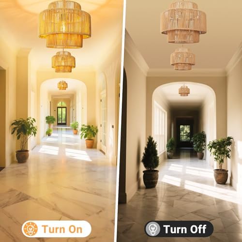 Hanging Light Lamp Shades Boho Rattan Lamp Shades, Woven LampShades for Floor...
