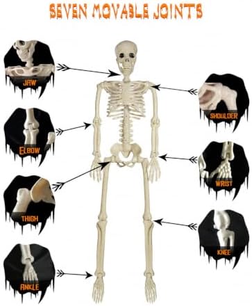 3 FT Light up Skeleton Halloween Decor: 36inch Posable Skeleton for Outdoor