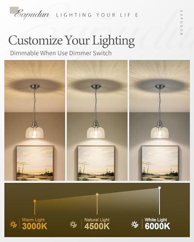 EAPUDUN Modern Farmhouse Pendant Light, 1-Light Industrial Hanging Light Fixt...