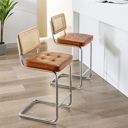 Zesthouse Natural Rattan Counter Stools Set of 2, 26" Modern Boho Barstools