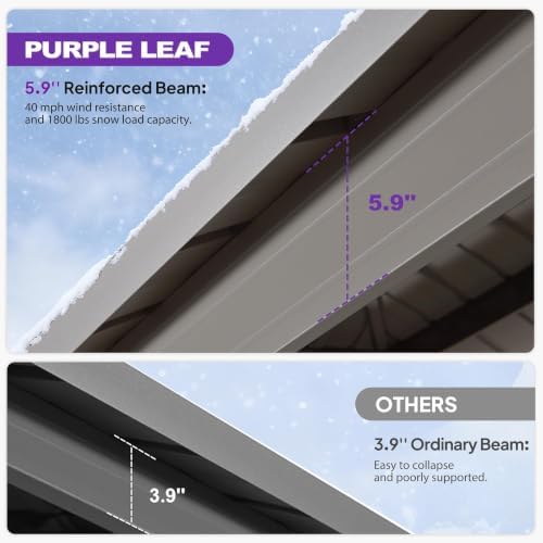 PURPLE LEAF Metal Gazebo 10' x 16' Champagne Galvanized Steel Double ...