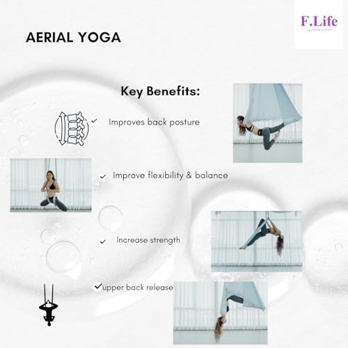 F.Life Aerial Silk Yoga Hammock & Swing for yoga Inversion,Strength train...
