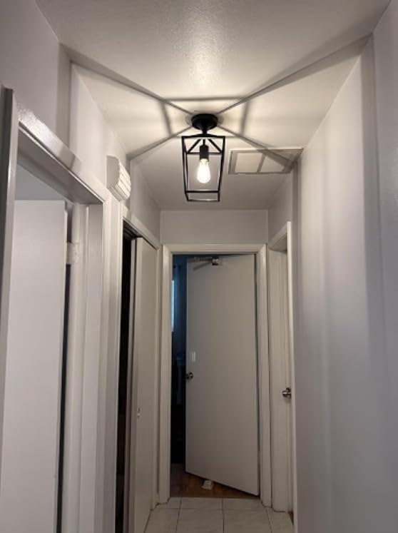 Flush Mount Ceiling Light Fixture, Matte Black Industrial Farmhouse Cage