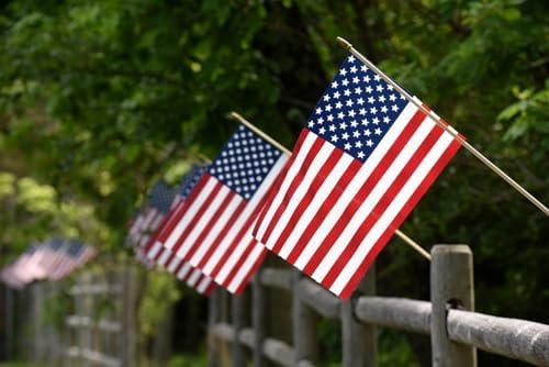 GIFTEXPRESS 12-Pack 12x18" American Stick Flags – Made in USA, Handheld ...