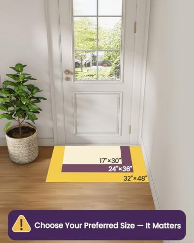 DEXI Thin Door Mat Indoor Entrance 32x48, Non Slip Entryway Mat, Beige