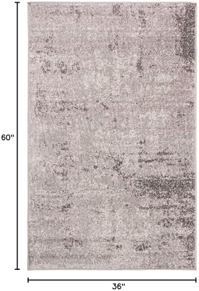 SAFAVIEH Adirondack Collection Accent Rug - 3' x 5', Light Grey &...