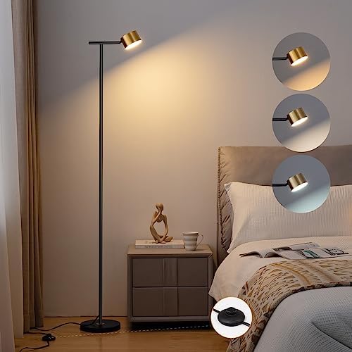 Floor Lamps for Living Room, 3 Color Temperatures Floor Reading Lamp with Fle...