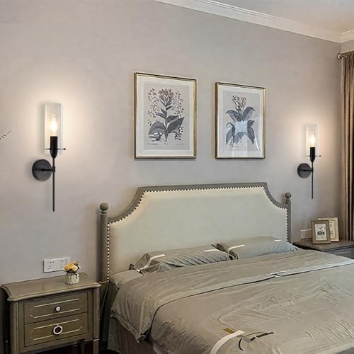 Modern Wall Sconces Set of Two, Black Wall Sconce with Clear Glass Shade, Har...
