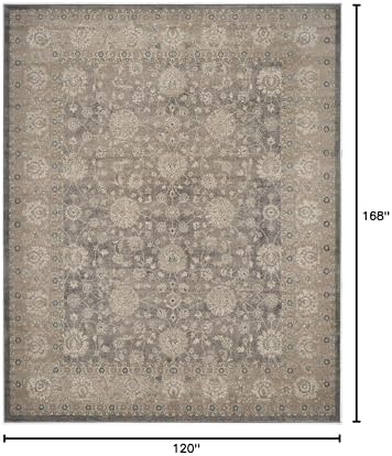 SAFAVIEH Sofia Collection Area Rug - 10' x 14', Light Grey & Beig...