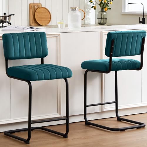 ONEVOG 24.6'' Counter Height Bar Stools Set of 2, Mid-Century Modern ...