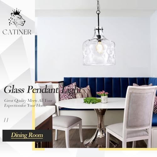CATINER 16" Farmhouse Hammered Glass Pendant Light, Black Hanging Light