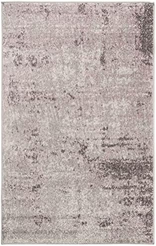 SAFAVIEH Adirondack Collection Accent Rug - 3' x 5', Light Grey &...