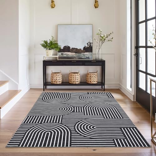 ROYHOME Modern Washable Rug 5x7 Area Rugs for Living Room Non Slip, Black