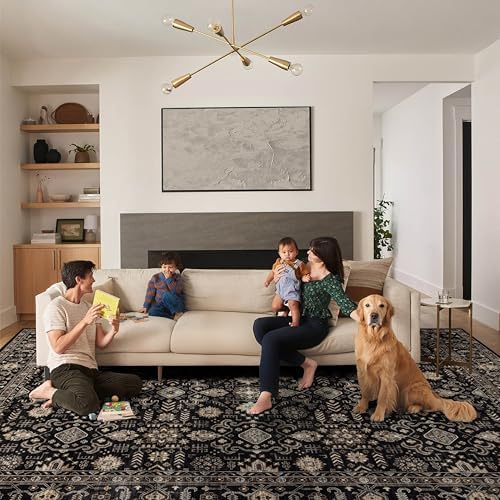 Ruaruarug Washable Area Rug 8×10 for Living Room, Ultra Soft, Black Gold