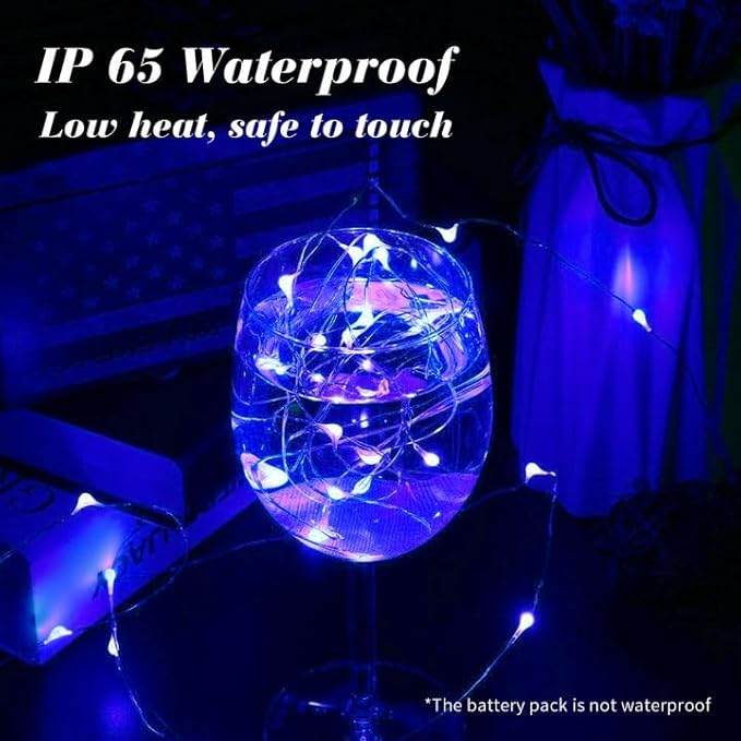 ZGWJ 100 Pack Fairy Lights Battery Operated, 7ft 20 Mini LED Fairy String Lig...