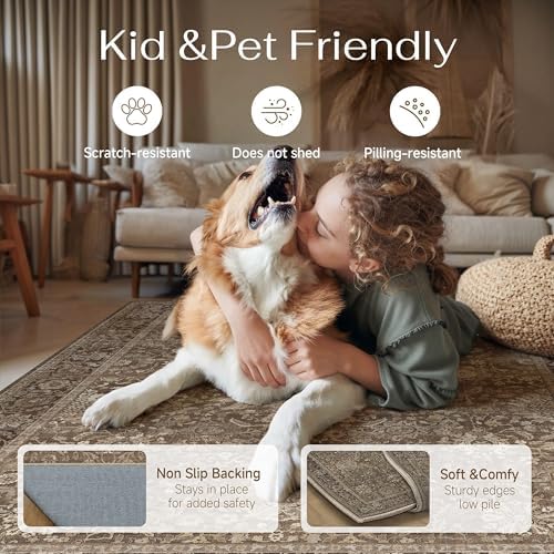 HUGEAR Area Rugs 6x9 Brown Vintage Rug for Living Room