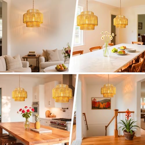 Hanging Light Lamp Shades Boho Rattan Lamp Shades, Woven LampShades for Floor...