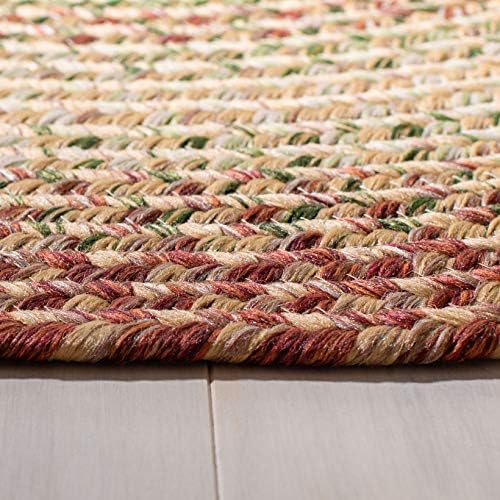 SAFAVIEH Braided Indoor/Outdoor Area Rug 10x14, X-Large Rust BRD303A