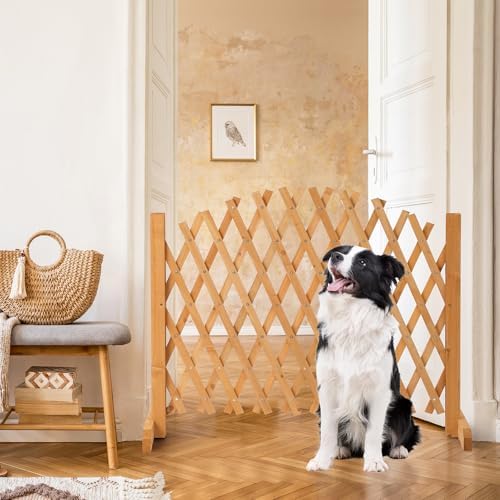 VINGLI 2Pcs Expandable Garden Fence with Arched Top, 31.5in Freestanding Latt...
