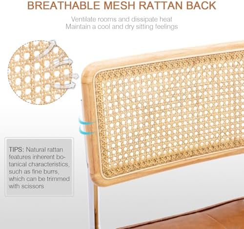Zesthouse Natural Rattan Dining Chairs Set of 4, Mid Century Modern Dining Ro...