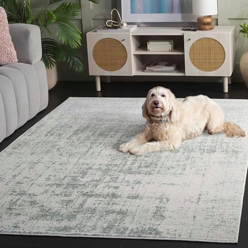 SAFAVIEH Adirondack Area Rug 6x9, Modern Sage & Ivory ADR207W