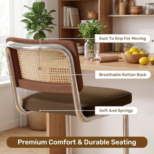 Rattan Bar Stools Set of 2 with Solid Wood Back, 26" Counter Height Bar ...