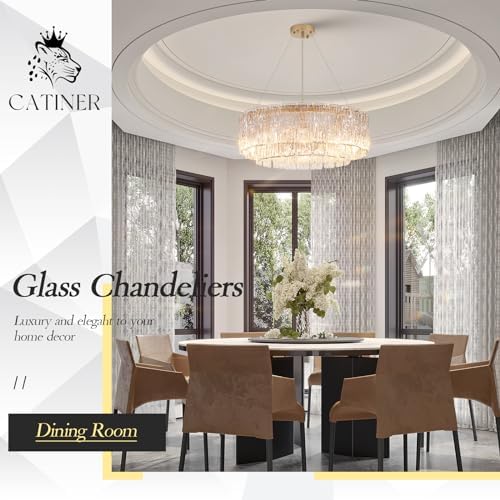 CATINER Modern 24" Crystal Glass Chandelier 10-Light Gold Chandeliers