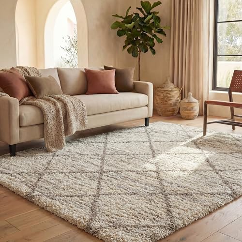 SAFAVIEH Hudson Shag Rug 10x14, Plush X-Large Multi Ivory & Beige SGH281H