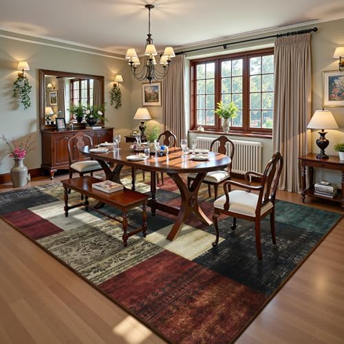 DweIke Washable Area Rugs 5x7 for Living Room, Modern Geometric Colorful Soft...
