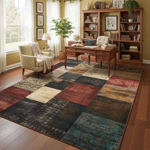 DweIke Washable Area Rugs 5x7 for Living Room, Modern Geometric Colorful Soft...