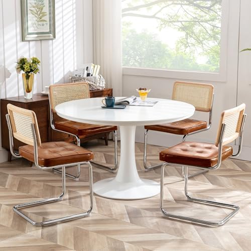 Zesthouse Natural Rattan Dining Chairs Set of 2, Modern Cesca Kitchen Chair