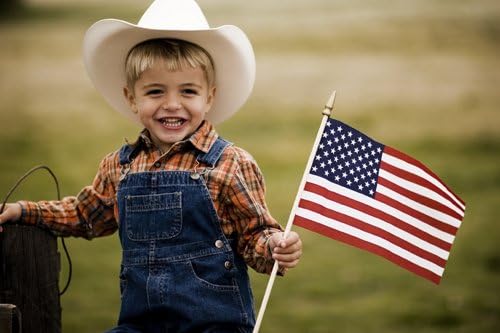 GIFTEXPRESS 12-Pack 12x18" American Stick Flags – Made in USA, Handheld ...