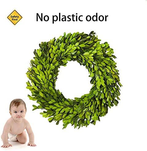Preserved Boxwood Wreath, 11 Inches, Green Wreath for All Seasons Indoor Use ...