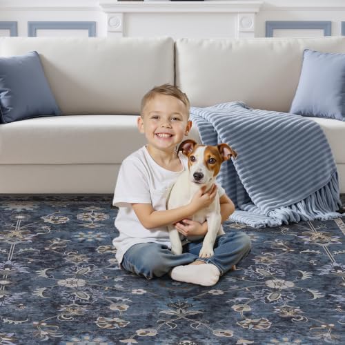 Tangsoo 9x12 Large Blue Area Rug for Living Room,Non Slip,Machine Washable