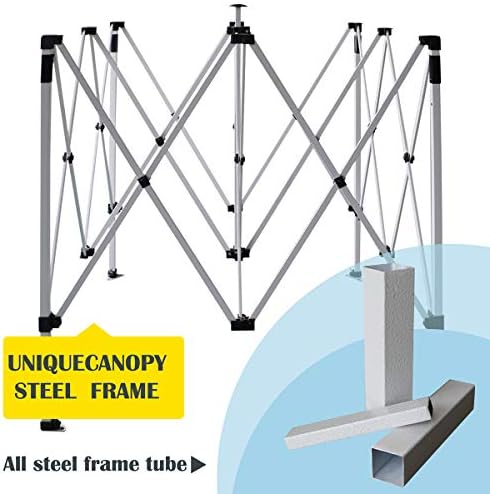 10'x10' Pop Up Canopy Tent Commercial Instant Shelter, with 4 Removab...