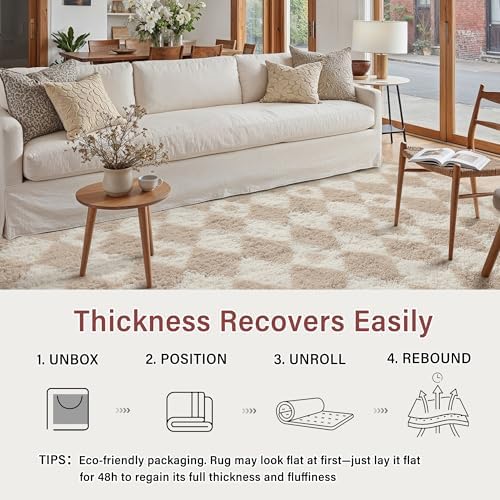 PureCozy Beige 6x9 Area Rug for Living Room Soft Checkered Shag Carpet