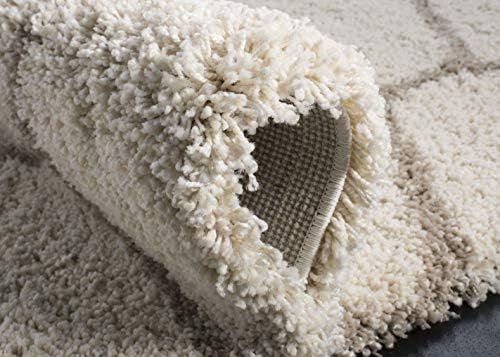 SAFAVIEH Hudson Shag Rug 10x14, Plush Trellis X-Large Ivory & Beige SGH280D