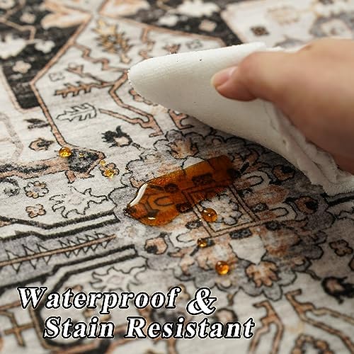 RUUGME Washable 10x14 Area Rug - Soft Area Rugs for Living Room Stain Resista...