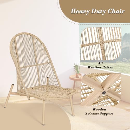 Athena Collection Patio Wicker Egg Chair with Folding Canopy, All-Weather Rat...