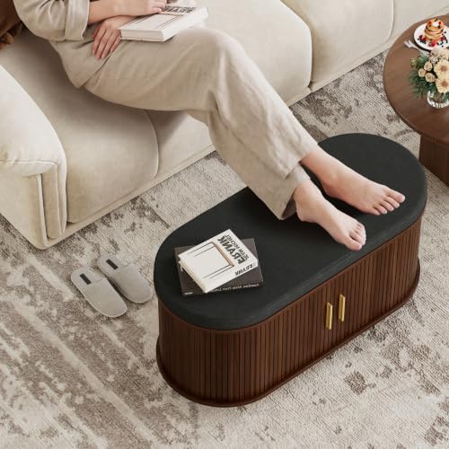 DHH 2-Tier Storage Bench,Wide Shoe Bench with Thickened Padded Seat Cushion, ...