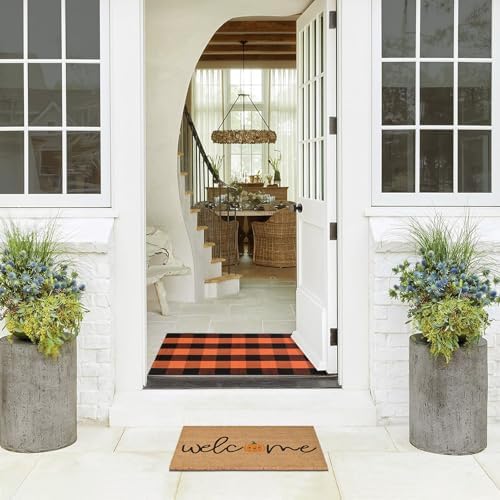Fall Door Mat Combo Set, Welcome Coco Coir Welcome Mat + 28" x 43" ...