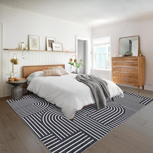 ROYHOME Modern Washable Rug 5x7 Area Rugs for Living Room Non Slip, Black