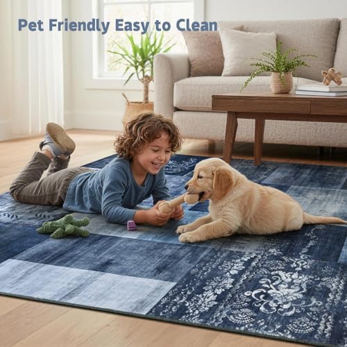 DweIke Washable Area Rugs 4x6 for Living Room, Modern Geometric Navy Blue Sof...