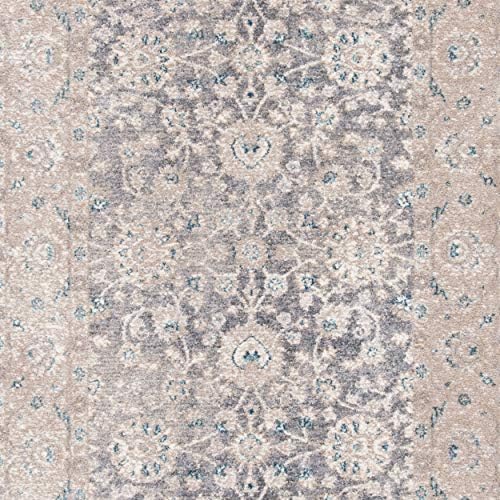 SAFAVIEH Sofia Collection Area Rug - 10' x 14', Light Grey & Beig...
