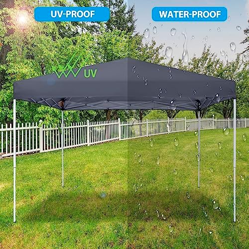 LEMY 10 x 10 FT Pop-Up Foldable Canopy Tent Pre-Assembled Adjustable Lightwei...