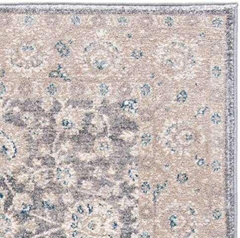 SAFAVIEH Sofia Collection Area Rug - 10' x 14', Light Grey & Beig...