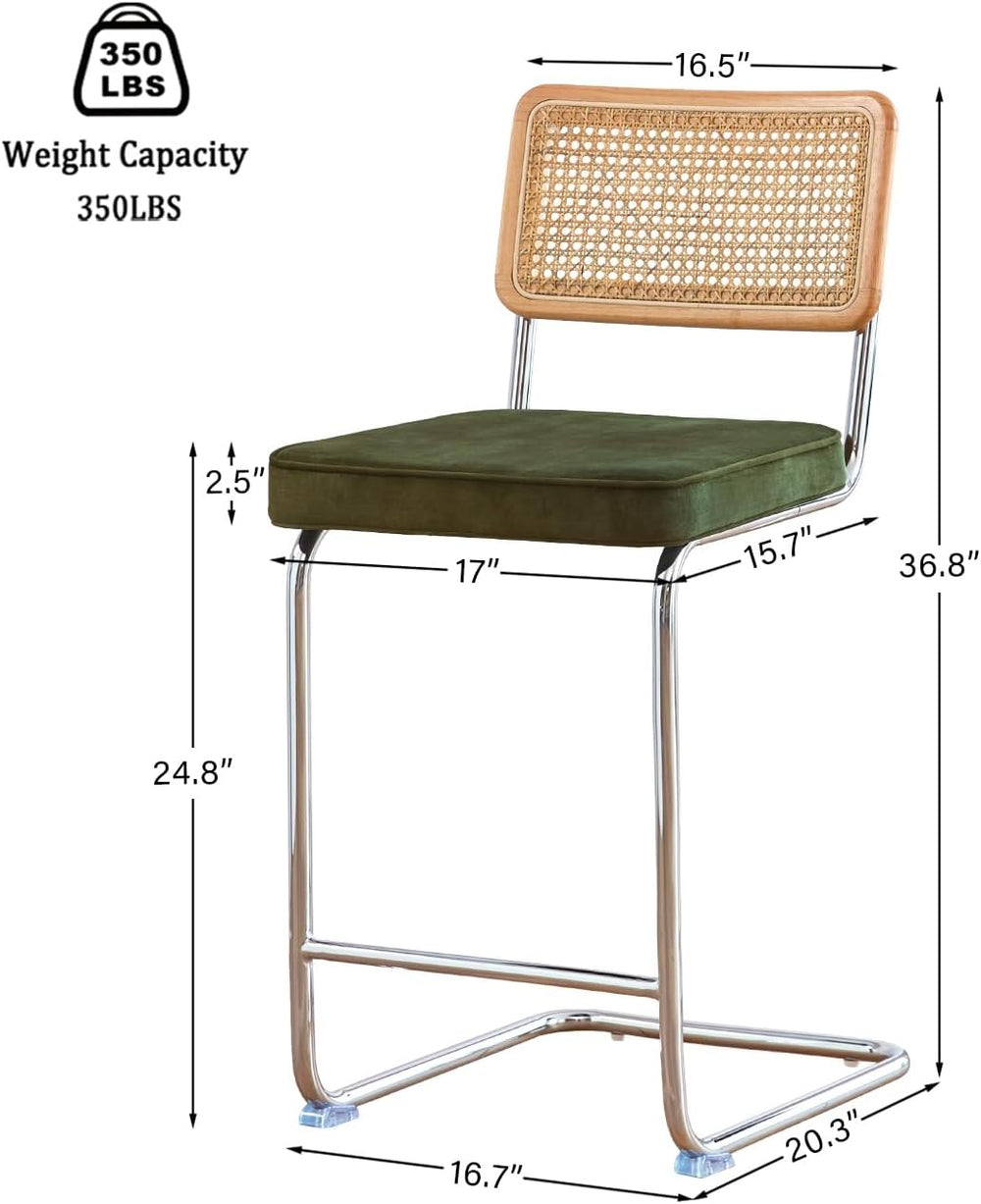 GrandNoor Natural Rattan Bar Stools Set of 2 with Solid Wood Back, 24 Inch Mi...