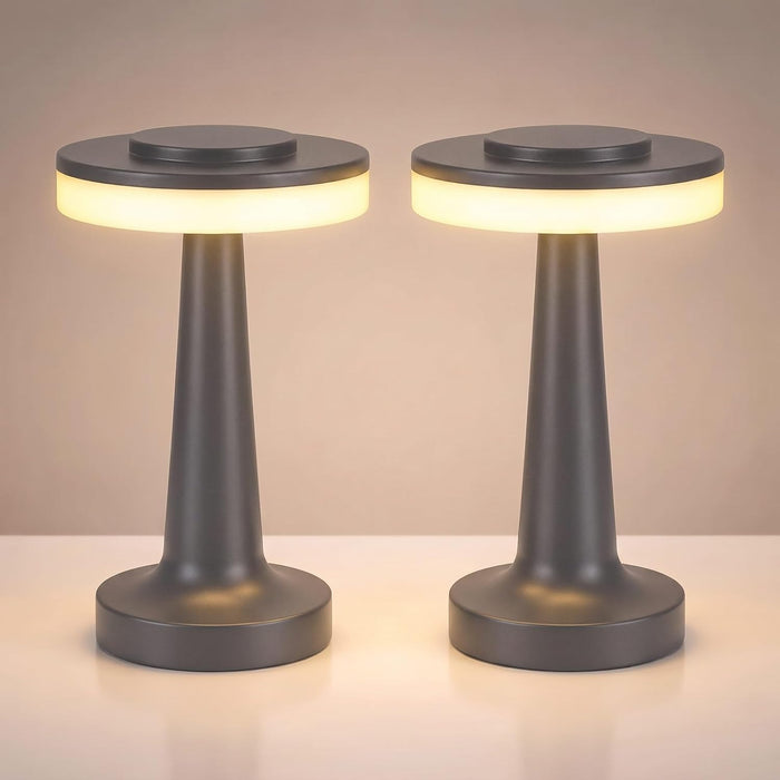 Riakrum 2 Pcs LED Cordless Table Lamp Bulk Rechargeable,Gray
