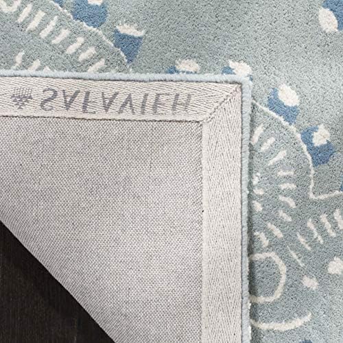 SAFAVIEH Wyndham Collection Area Rug - 10' x 14', Blue & Ivory, H...